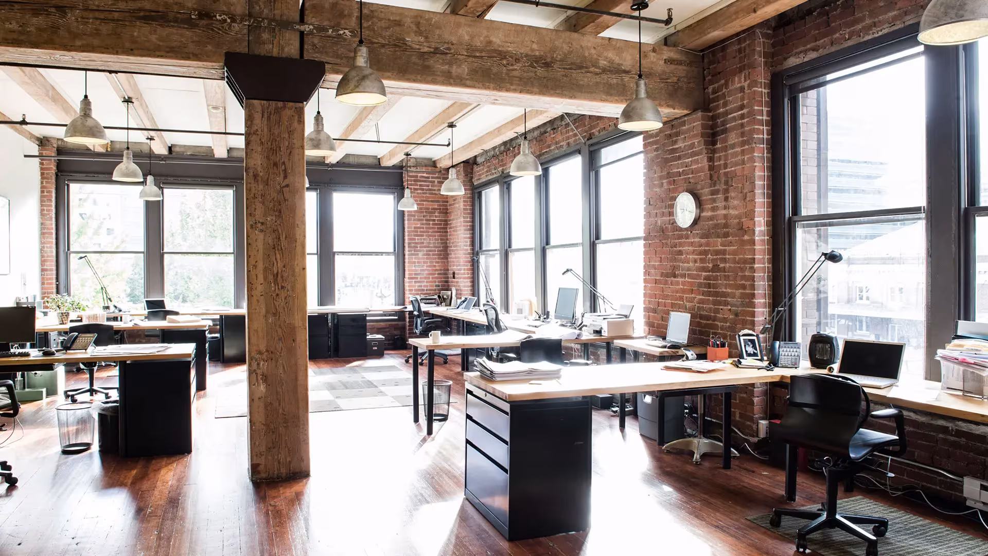 Ash+Zelkova Office Space