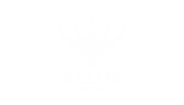 Zelus eSports Team Logo